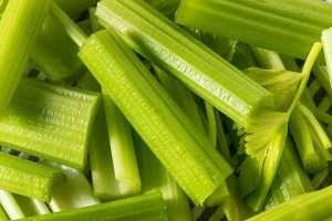 Freshly chopped celery for horse feed