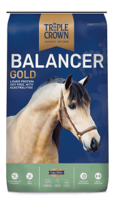 A light brown horse with a white stripe and black mane wearing a brown bridle on a blue gradient background with gold and white banners advertising Balancer Gold horse feed