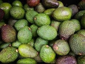 A pile of green avocados with a bumpy texture in various sizes and shapes on a black background