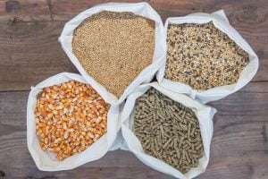 Four bags of different types of horse feeds, including wheat, mixed grains, corn, rabbit pellets, and sunflower seeds, arranged in a circle on a wooden surface