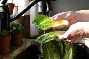 a person washing a leaf of romaine lettuce under a black faucet in a kitchen sink