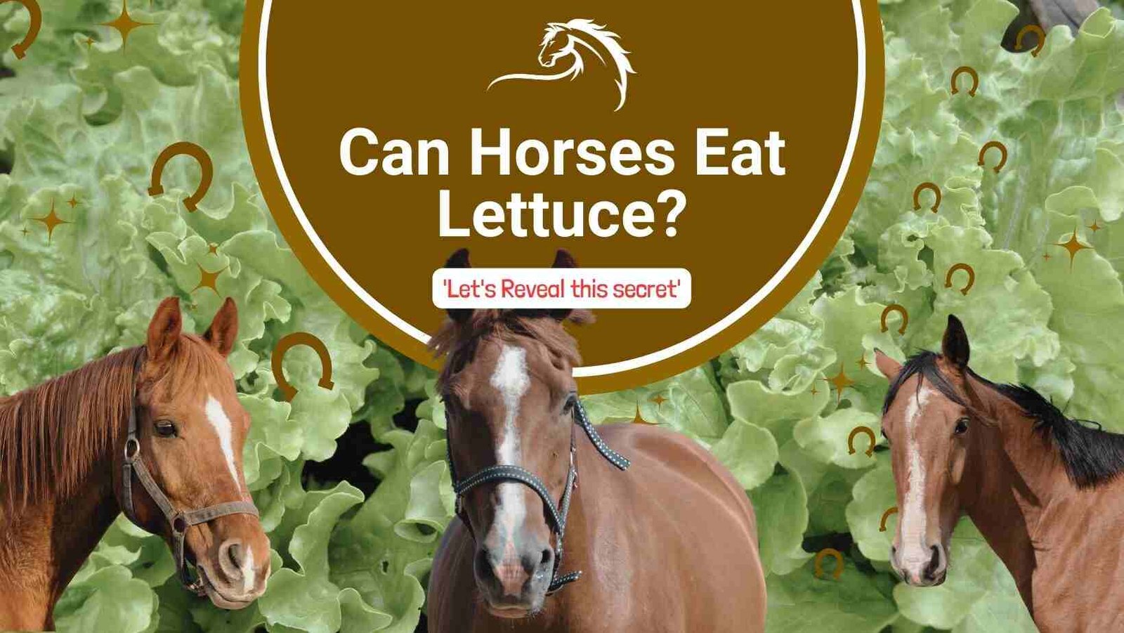 Three horses wearing halters, surrounded by lettuce leaves, with text revealing the secret of whether horses can eat lettuce