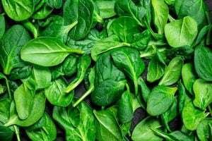 Fresh spinach leaves in a pile