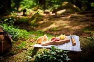 Picnic scene in a forest with bread, cheese, and salami on a wooden cutting board on a checkered cloth, with a backpack resting against a mossy rock in the background