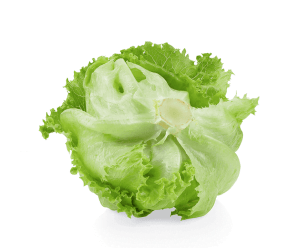 A fresh and crisp head of iceberg lettuce with light green leaves and darker green edges, arranged to reveal the white core, on a white background