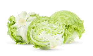 Two heads of iceberg lettuce on a white background