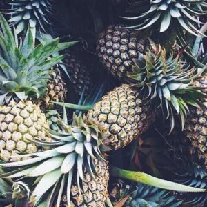 Top-down view of a group of pineapples in various stages of ripeness