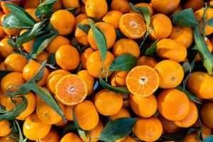 Can Horses Eat Oranges?, A pile of small, bright oranges with attached leaves and cut halves revealing orange flesh and seeds on a repeating orange background