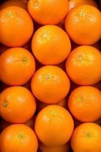 A group of bright orange oranges arranged in a grid-like pattern with small green stems on top