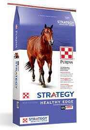 Purina Strategy Healthy Edge horse feed in blue and white packaging with red horse trotting towards the viewer