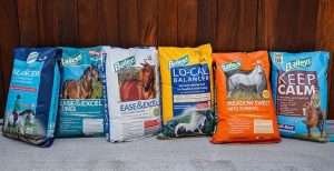 Six bags of Baileys horse feed lined up against a wooden wall, with different types of feed including Performance Balancer, Ease & Excel Cubes, Lo-Cal Balancer, Keep Calm, and Meadow Sweet with Turmeri