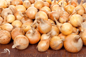A pile of yellow onions with papery skin on a wooden surface