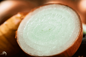 A close-up of a cross-section of an onion on a blurred background