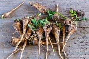Fresh parsnips on a wooden surface for healthy horse feed