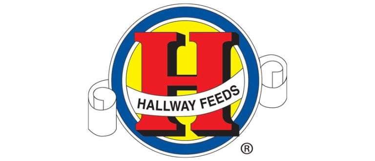 Hallway Feeds logo with a blue and yellow background and a red H in the center