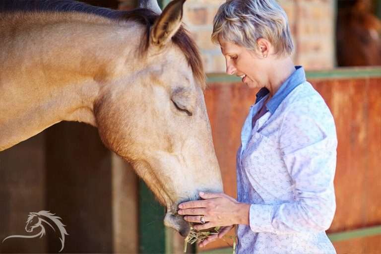 Women in blue and white patterned shirts petting a light brown horse with a white stripe down its nose next to a wooden stable