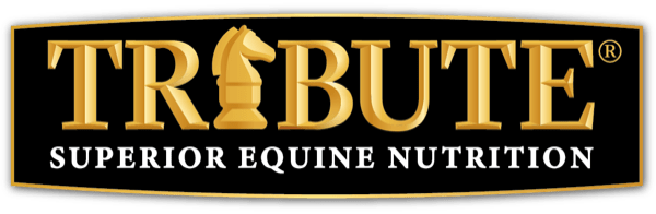 Tribute Superior Equine Nutrition logo with a gold knight chess piece