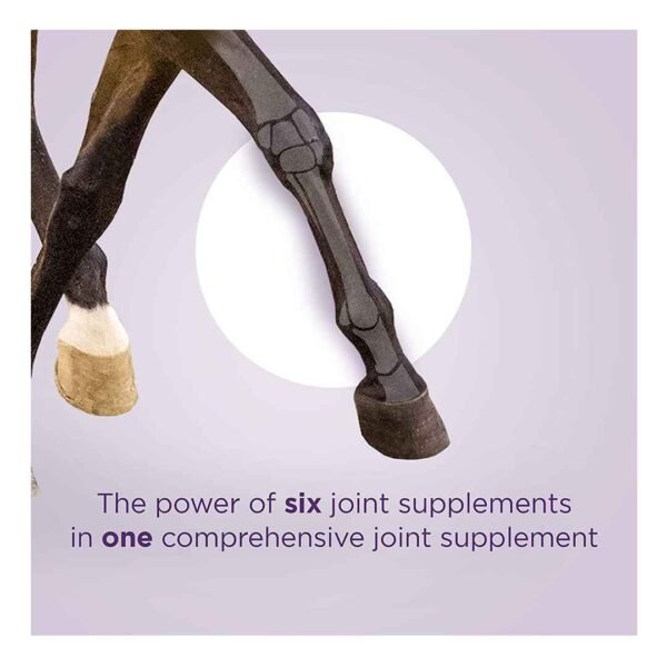 Horse legs with a white hoof in a white circle, advertising a comprehensive joint supplement for horses