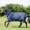 A brown horse with a blue blanket trotting in a green field with trees and clouds.