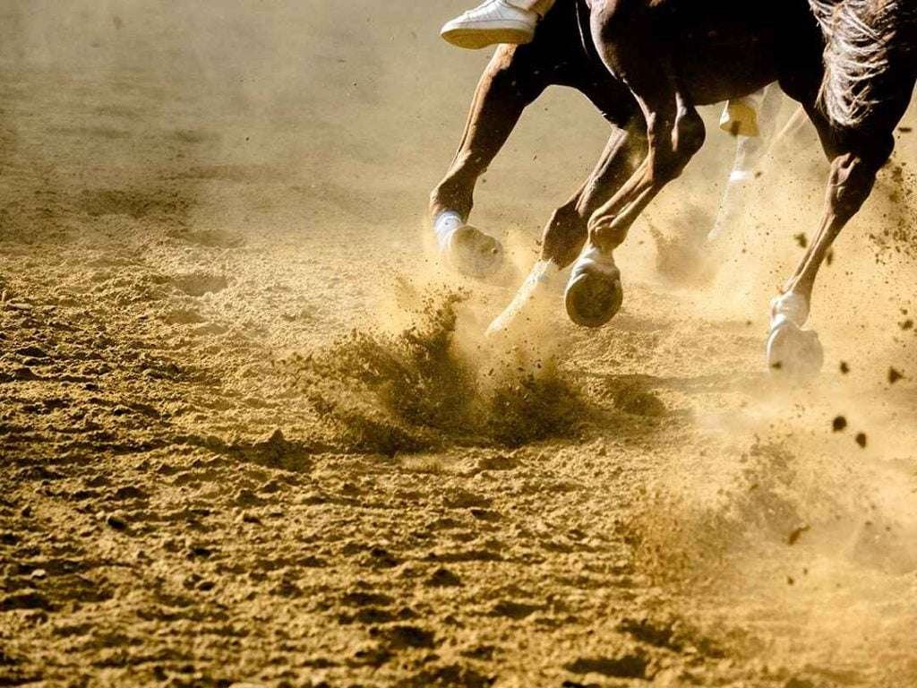 A close-up of a horse's hooves with white leg wraps and blue horseshoes, running on a dirt track and kicking up dust