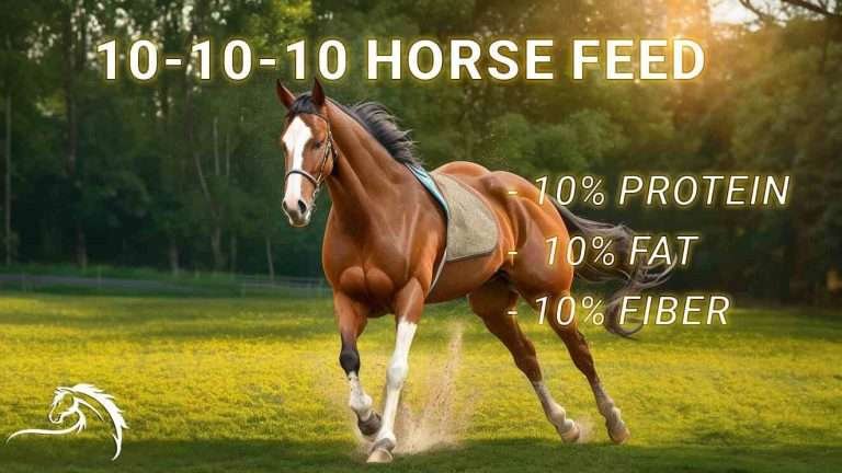 A brown horse with a white stripe on its face galloping in a field of green grass, wearing a blue saddle blanket, with an advertisement for 10-10-10 Horse Feed, containing 10% protein, 10% fat, and 10% fiber