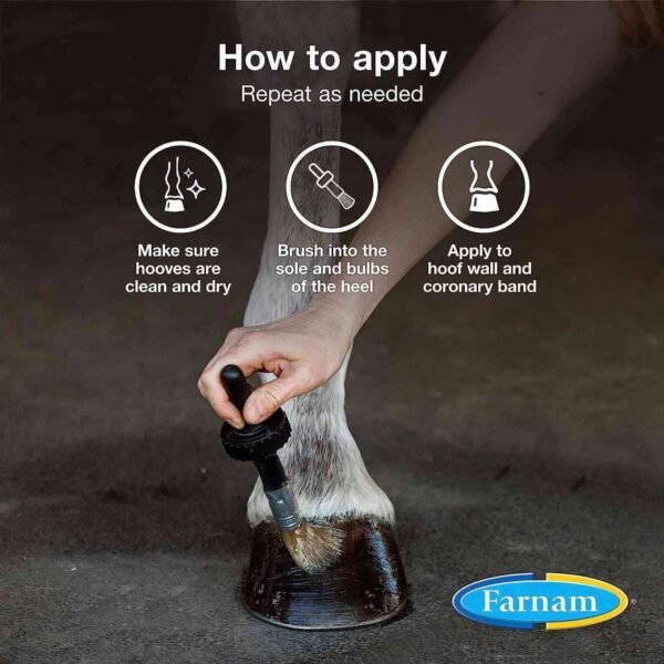 Qualified farrier brushing horse hoof with Farnam Horse Hoof Oil specially designed brush in a professional way. there are steps illustrated on this image as well