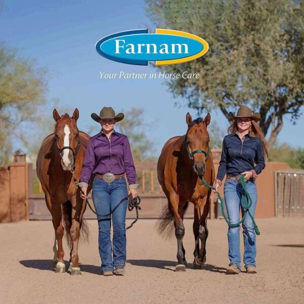 Two ladies with their horses looking happy showing that they horses have perfect hoves