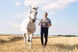 A man in a blue shirt leads a white horse in a golden wheat field with trees and a horizon line in the background