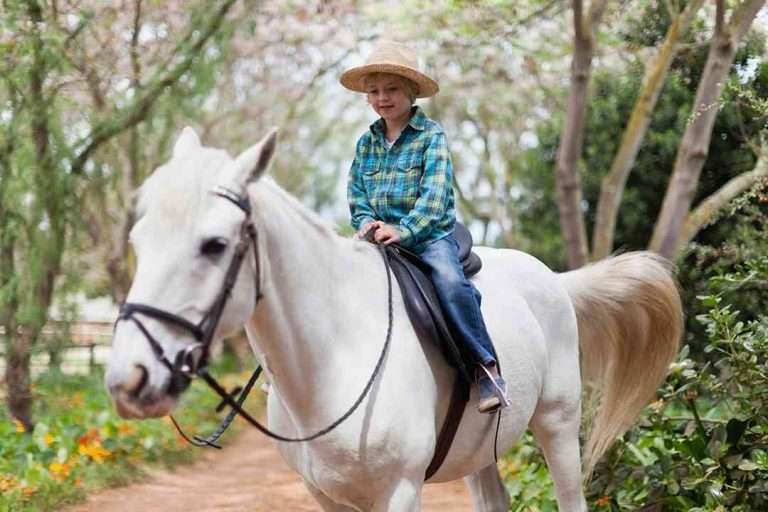 A cute boy riding a white horse in a garden