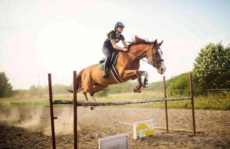 How fast can a horse run with a rider