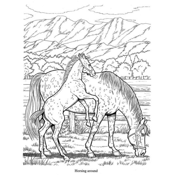 Horses Coloring Book for Kids, uncolored - a black and white