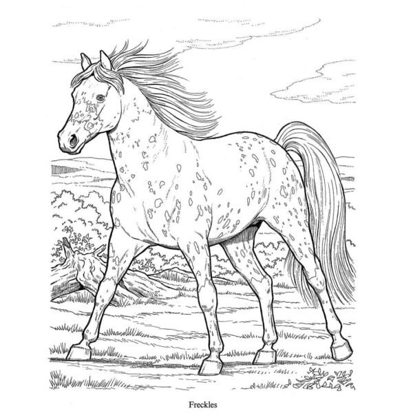A heavy powerful horse breed illustration