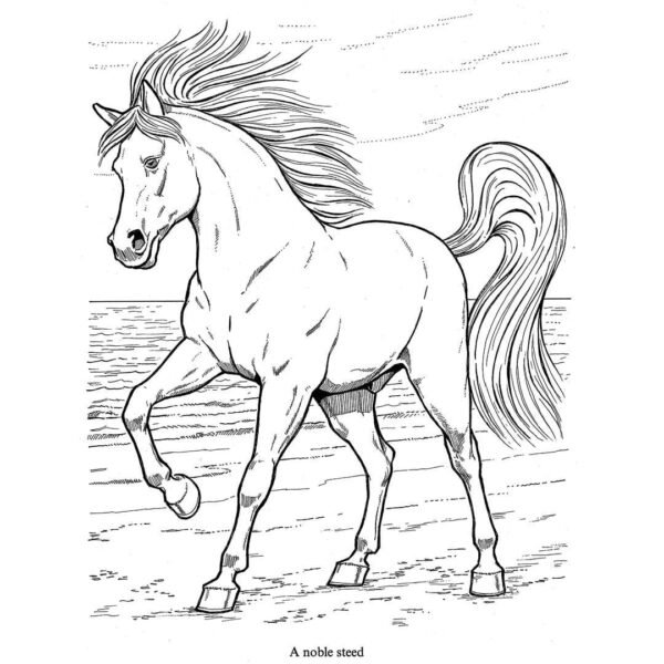 beautiful racing horse sketch illustration