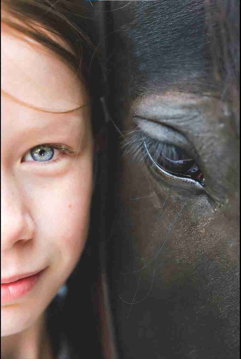 Heterochromia In Horses - horses with different eye colors