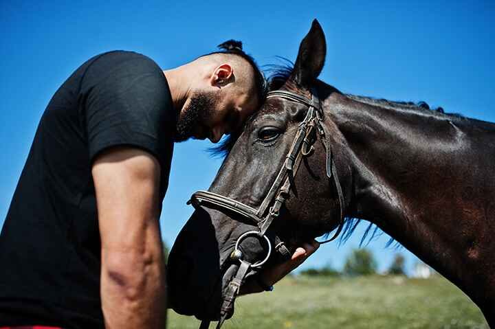 arabian horse - Top Best Most Popular Horse Names