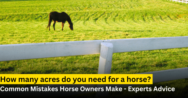 How many acres do you need for a horse