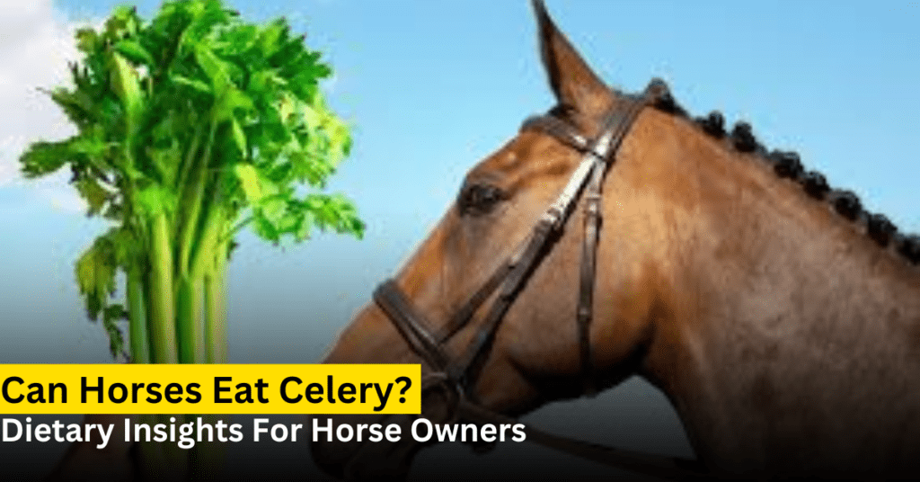 can horses eat celery